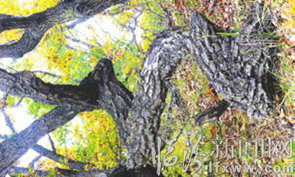 臨汾姑射山 秋景如畫