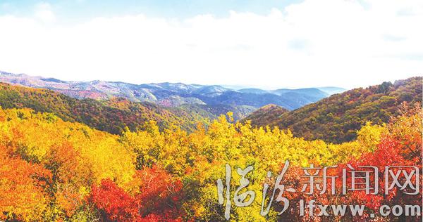 吉縣人祖山:正是紅葉迷人時