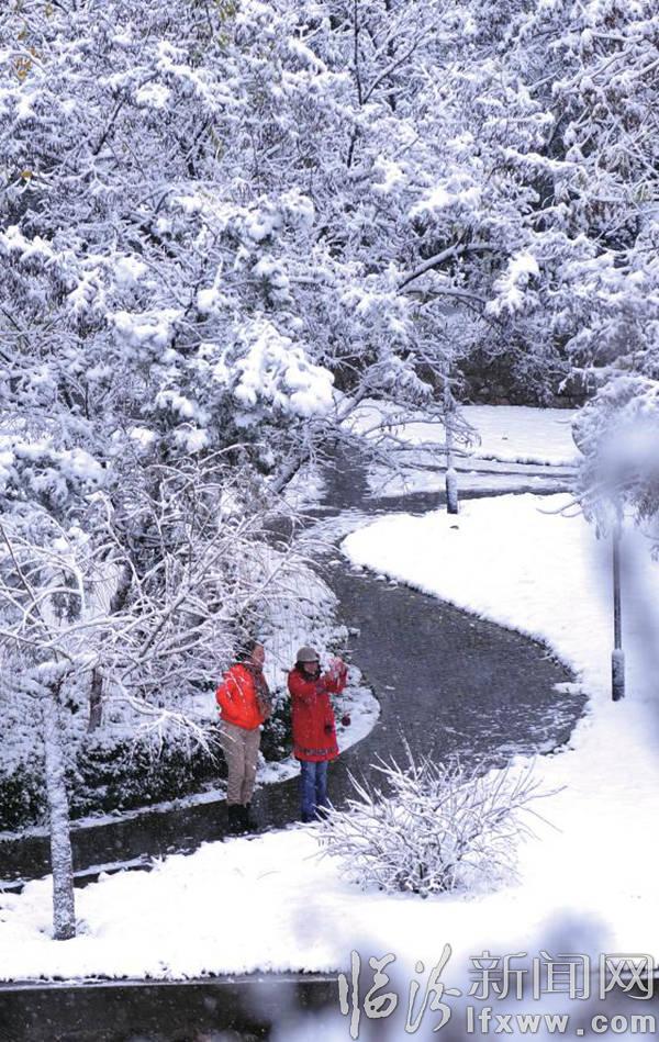 銀裝素裹好景色:臨汾市出現(xiàn)今冬首場降雪