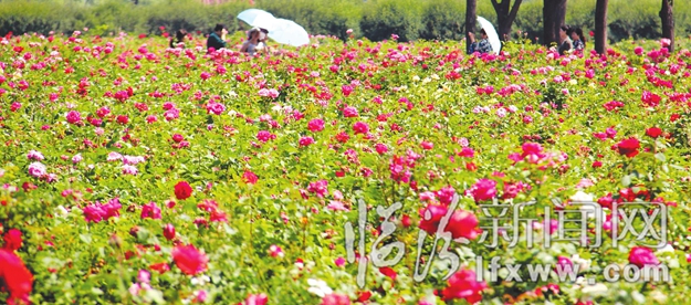 別跑了 美景就在咱汾河邊