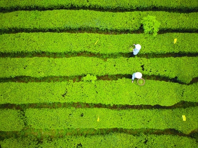 片區扶貧的新探索——武陵山片區脫貧攻堅紀實 片區扶貧的新探索——武陵山片區脫貧攻堅紀實