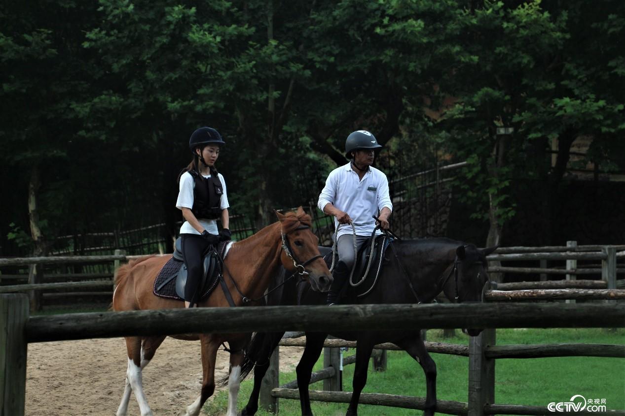 莫干山鎮高端精品民宿的核心區。(央視網 記者何川攝)