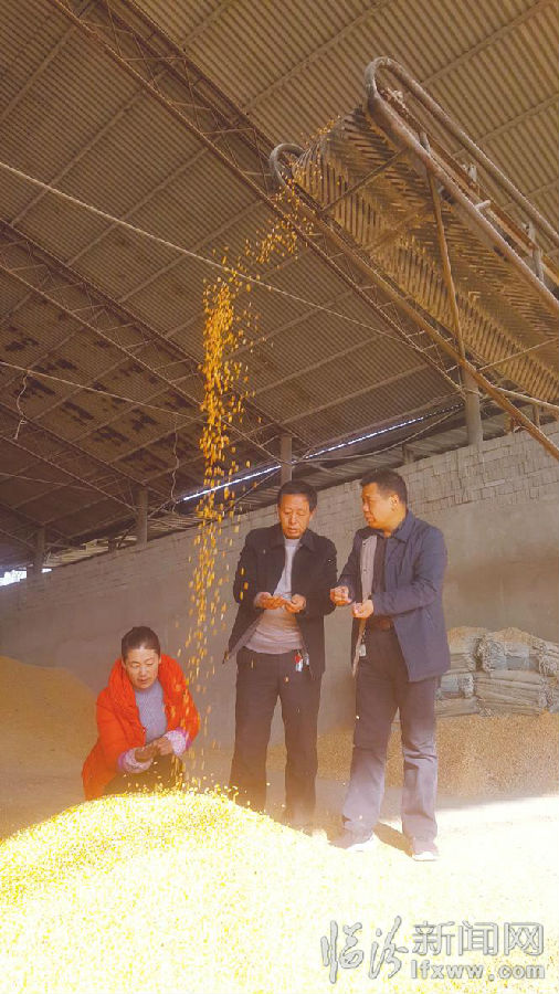 襄汾縣:一切為了糧農..........