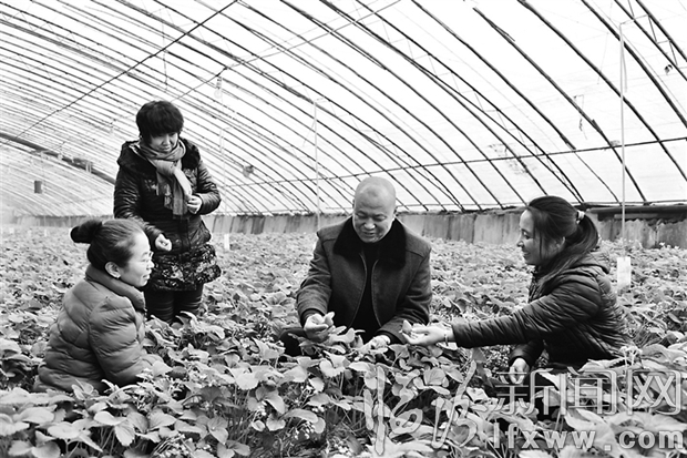 襄汾祁林:他為“科技興農(nóng)”代言