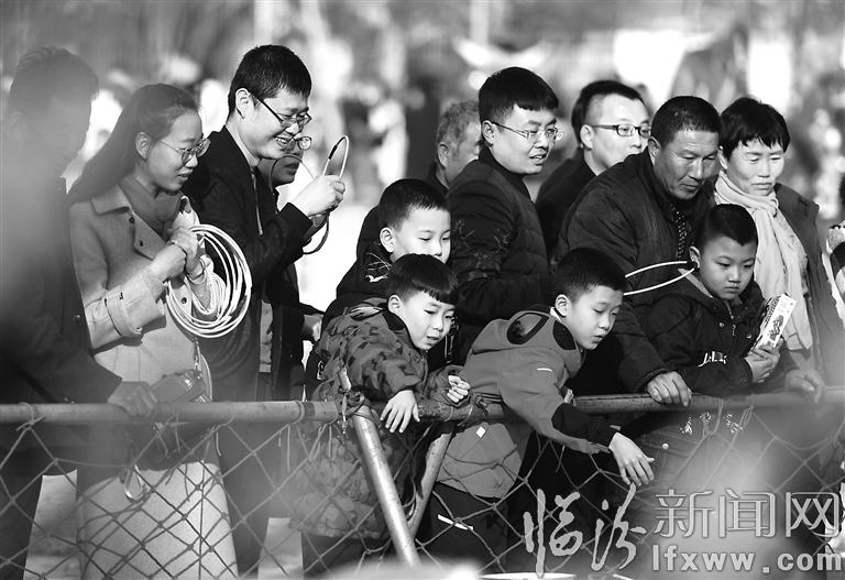 臨汾:曬曬你的過年故事