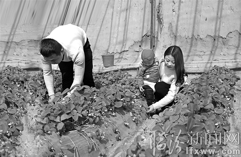 臨汾:曬曬你的過年故事