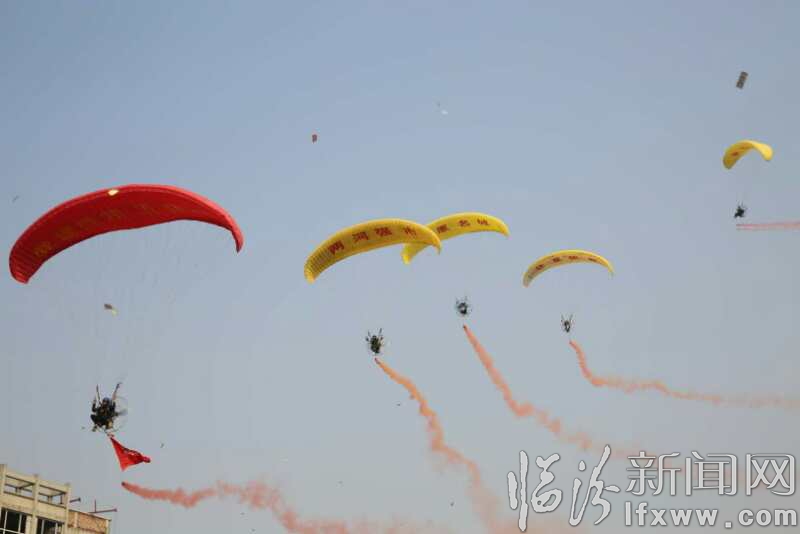 河津市舉辦“魚躍龍門 華耀河津”第二屆桃花節