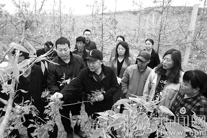 汾西:搭建扶貧平臺 助力科技脫貧