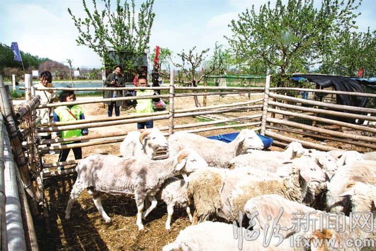 臨汾廣奇農業發展有限公司:生態園里春意濃