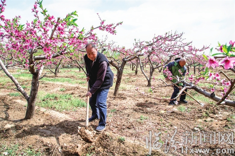 臨汾廣奇農業發展有限公司:生態園里春意濃