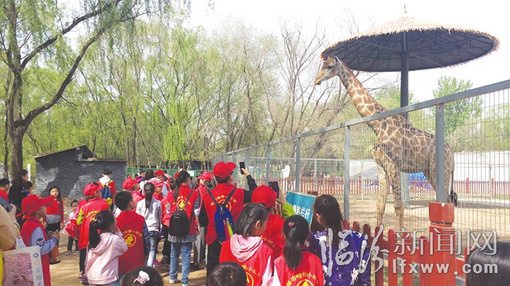 臨汾晚報小記者團“行走的課堂”開啟第一課