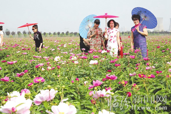 侯馬市“湯榮杯”第二屆“賞花海 品瓜香”鄉村游開幕