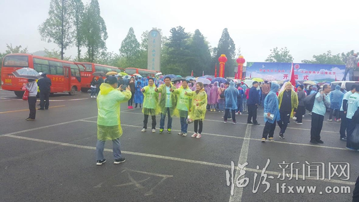 河南燕子山“槐花節(jié)” 萬人徒步賞花海