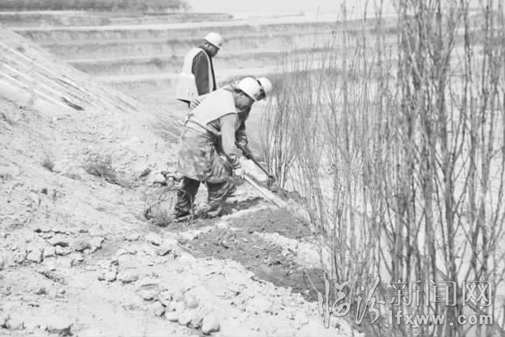 臨汾:他們,用辛勤汗水灌澆長臨之花