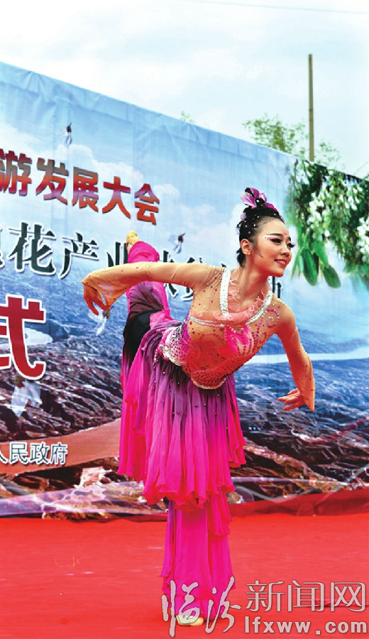 永和:萬畝槐蕊次第開 笑迎八方賓朋來