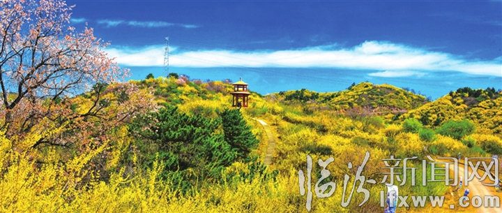 安澤:臨汾東花園里,醉美的游客不忍離去