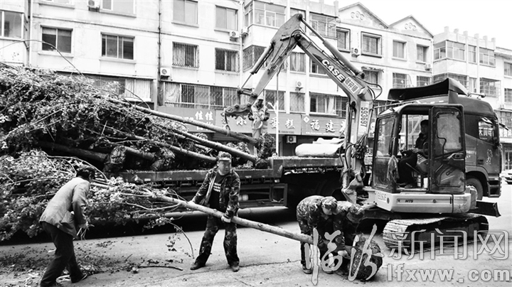 翼城:對(duì)街道進(jìn)行綠化升級(jí)改造