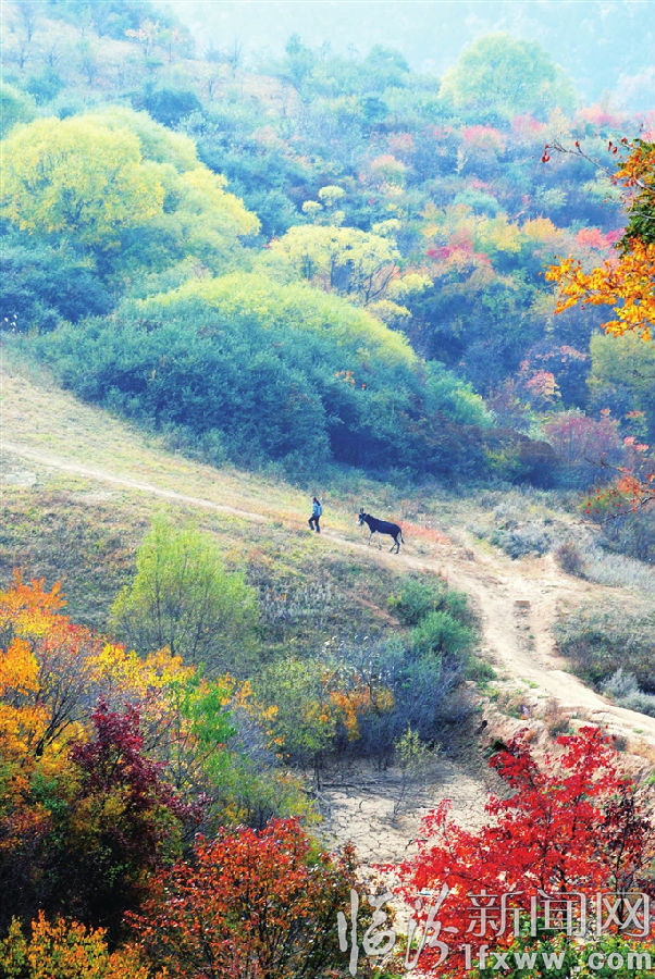 大寧二郎山美如畫