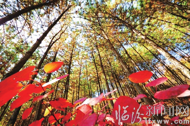 大寧二郎山美如畫