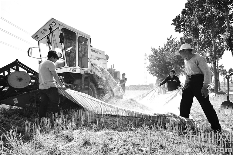 視覺(jué)新聞:臨汾那些事