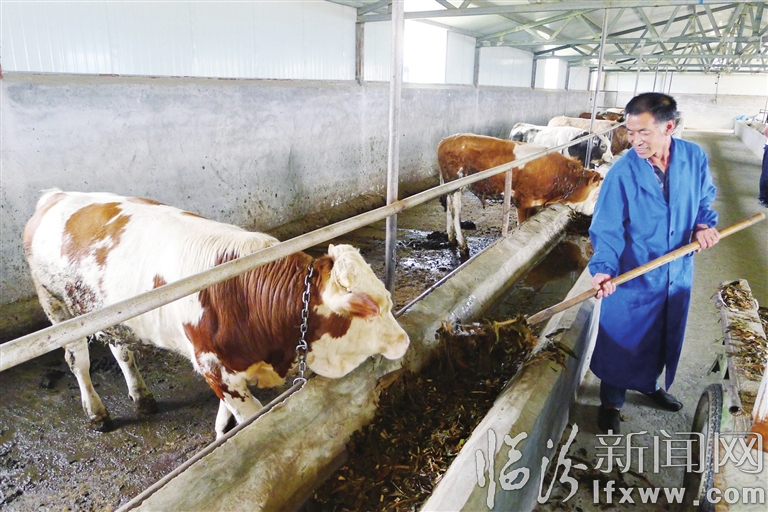 視覺新聞:臨汾那些事