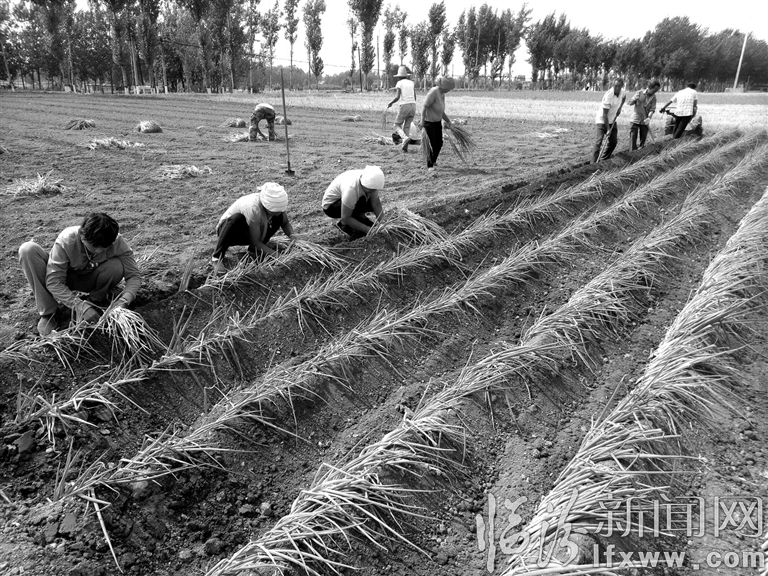 視覺新聞:臨汾那些事