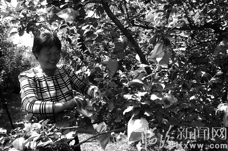 視覺新聞:臨汾那些事