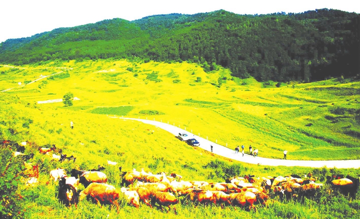 秀美臨汾景區(qū) 中鎮(zhèn)霍山七里峪