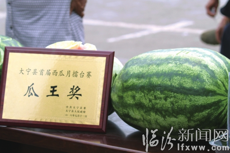 何以解暑?大寧“西瓜節(jié)”