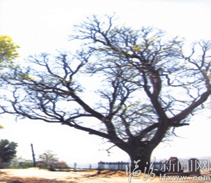 臨汾紅色旅游指南(西線)