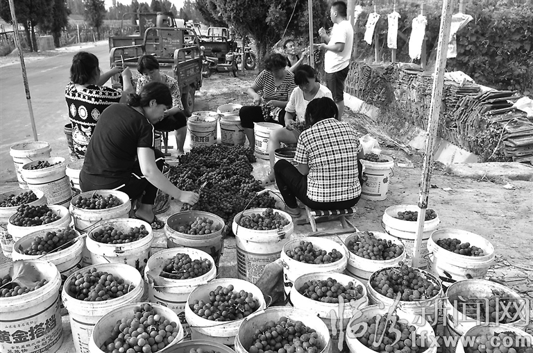 視覺新聞:臨汾那些事