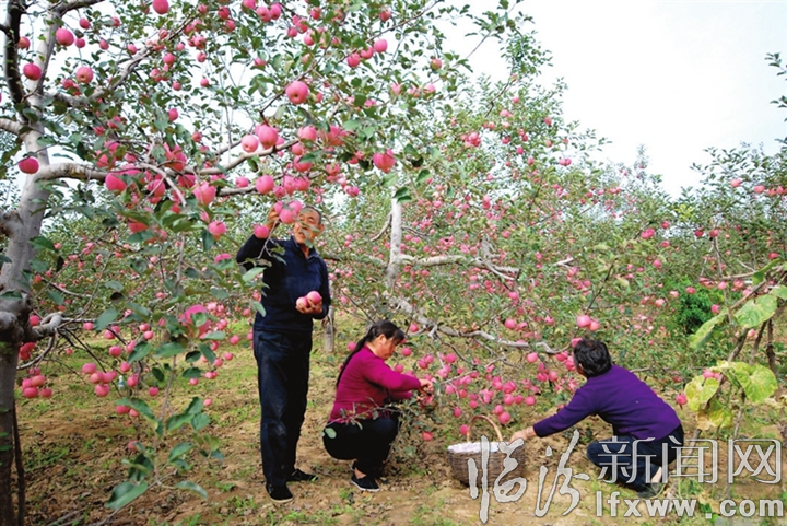 2018年臨汾脫貧攻堅工作綜述