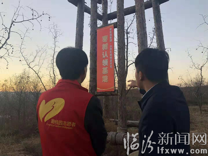 永和奇奇里村:棗樹“出嫁”棗農臉上樂開了花