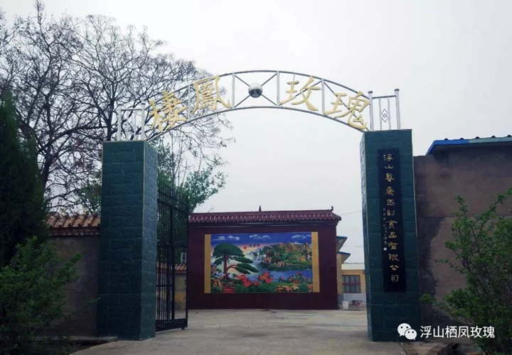 浮山縣康杰副食品有限公司實(shí)施種植玫瑰花產(chǎn)業(yè)扶貧