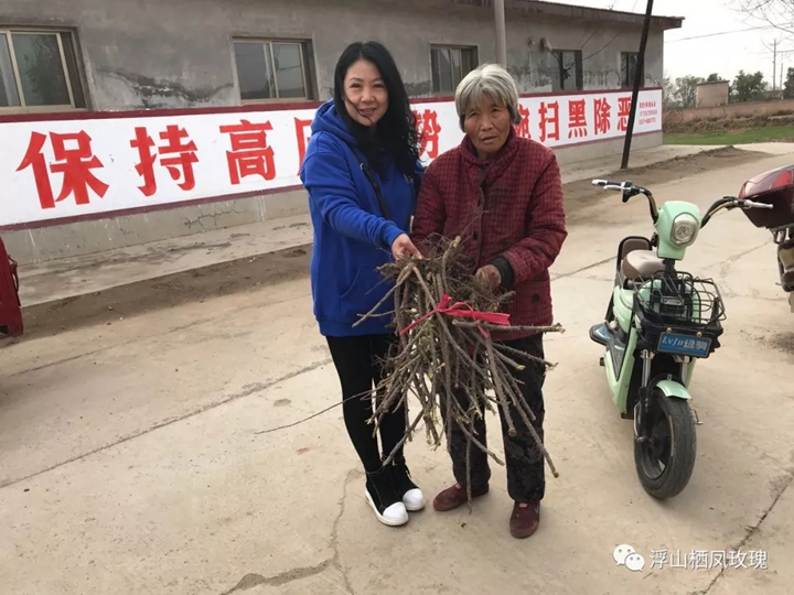 浮山縣康杰副食品有限公司實(shí)施種植玫瑰花產(chǎn)業(yè)扶貧