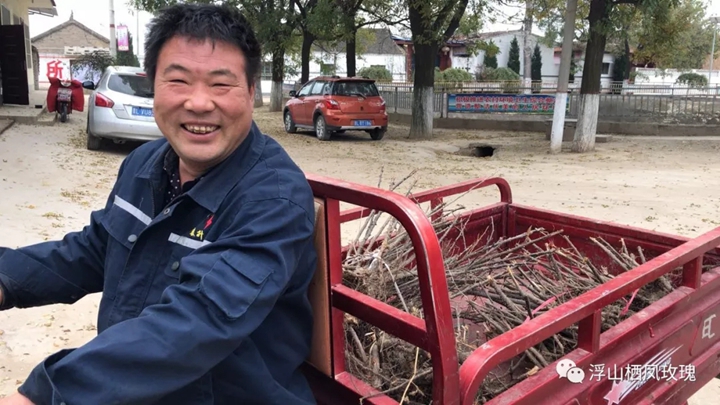 浮山縣康杰副食品有限公司實(shí)施種植玫瑰花產(chǎn)業(yè)扶貧