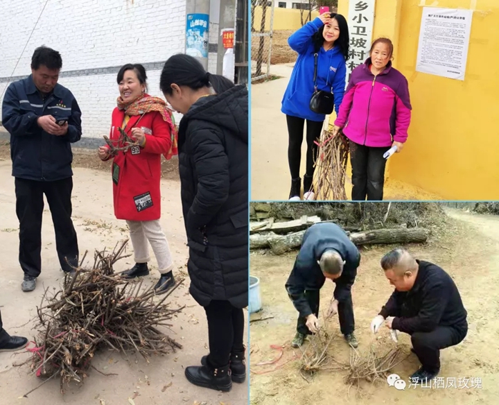浮山縣康杰副食品有限公司實(shí)施種植玫瑰花產(chǎn)業(yè)扶貧