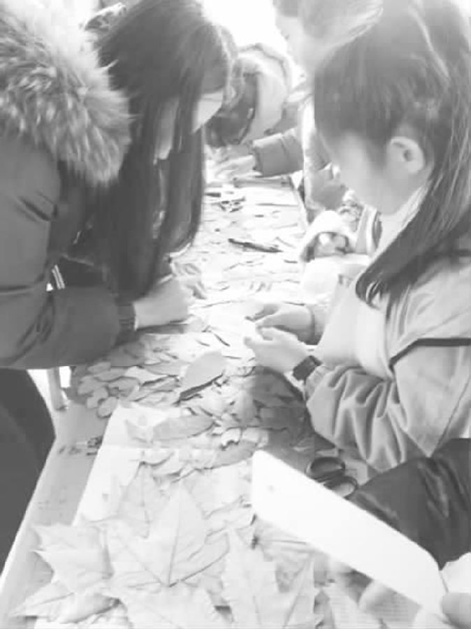 山西師大:落葉遞親友,感恩寄于行