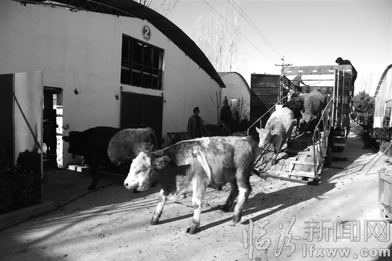 視覺新聞:臨汾那些事