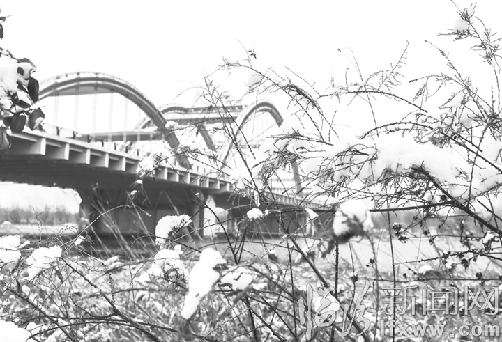 臨汾市民:春雪紛飛 謹慎出行