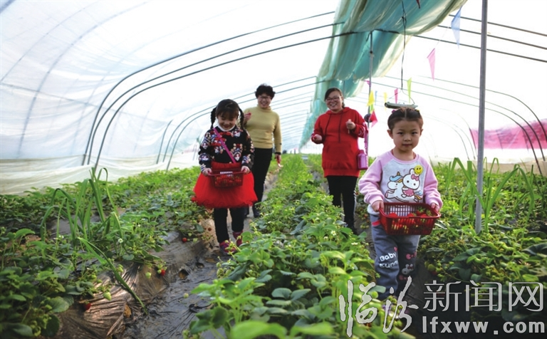 視覺新聞:臨汾那些事