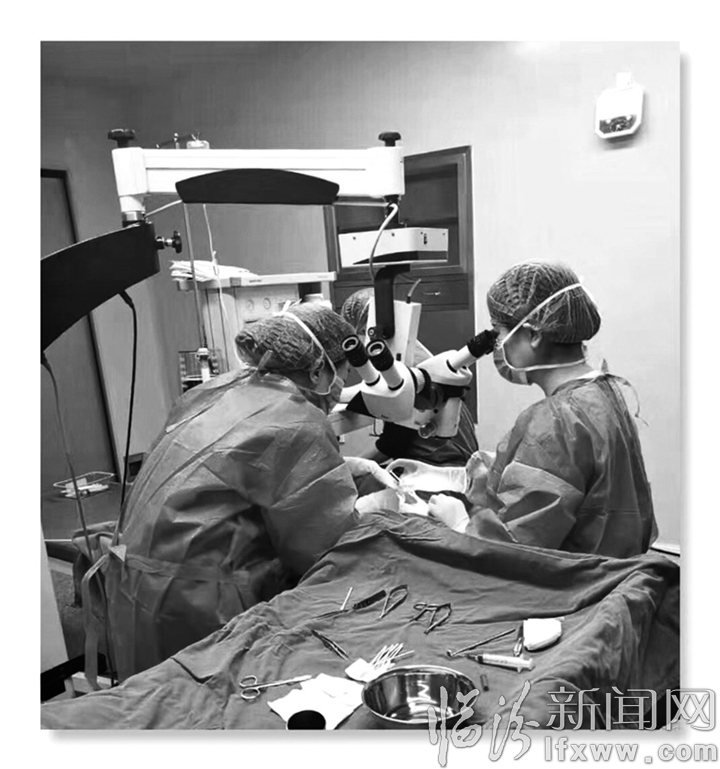 臨汾愛爾眼科醫院武櫻:讓寶寶的眼睛看得清