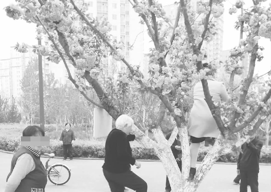 臨汾人:請向這種行為大膽說“不”