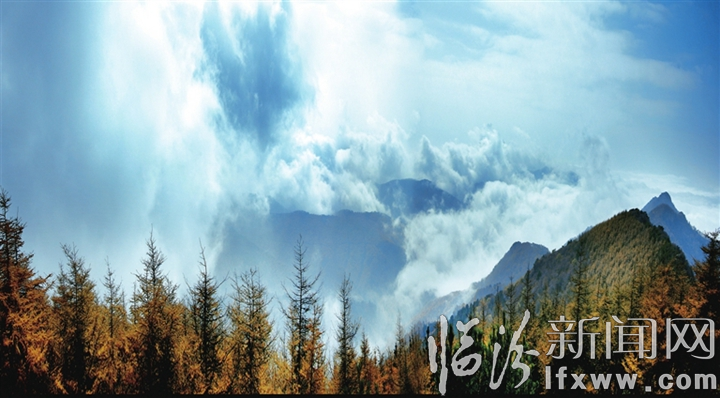 古縣第十二屆“天下第一牡丹” 文化旅游節將于4月27日隆重開幕