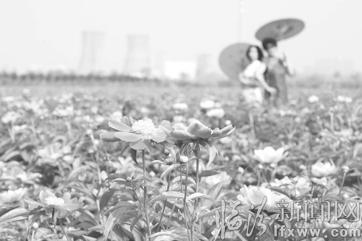 臨汾:五一游臨汾 處處是美景