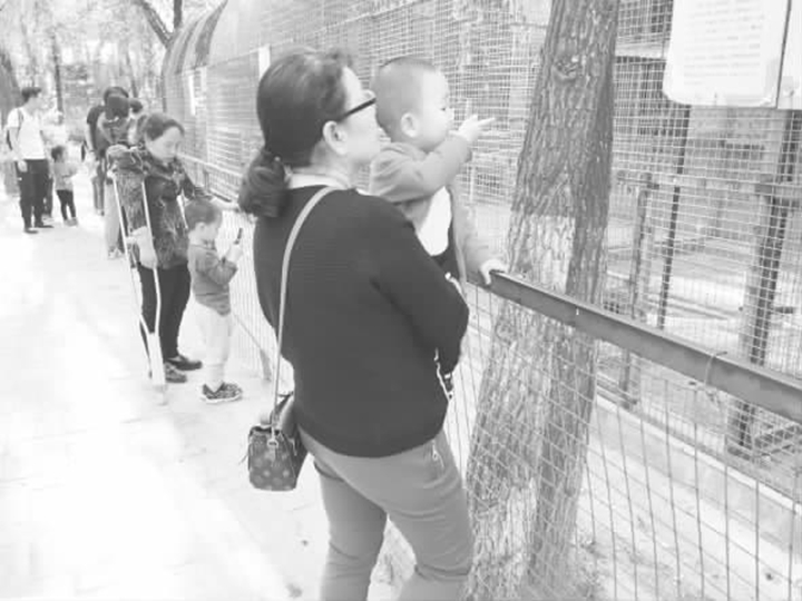 臨汾動(dòng)物園小長假接待游客21000余人次