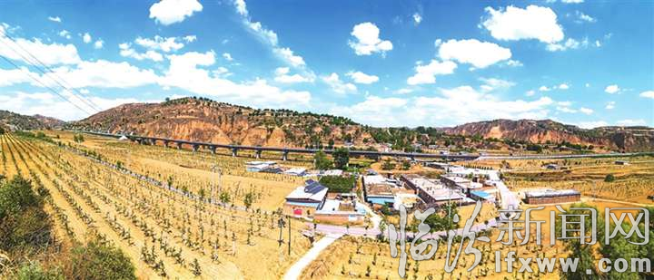 成片玉露香密植園