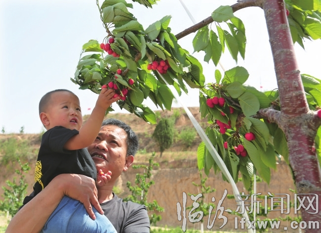 櫻桃園區歡樂多
