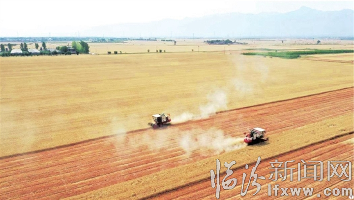 襄汾:志愿幫扶戰三夏 龍口奪食搶收忙