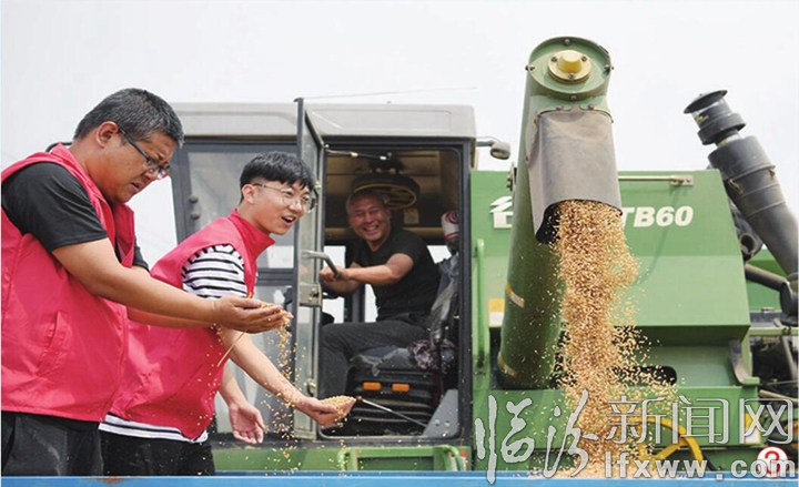 襄汾:志愿幫扶戰三夏 龍口奪食搶收忙